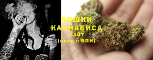 прущие грибы Дмитриев