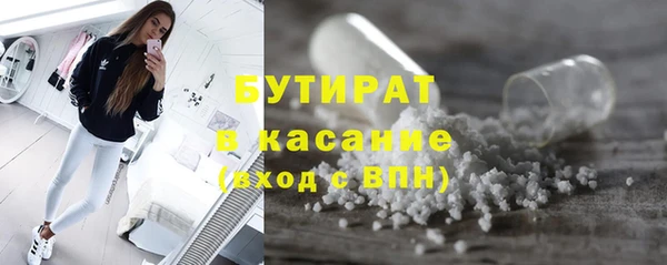 прущие грибы Дмитриев