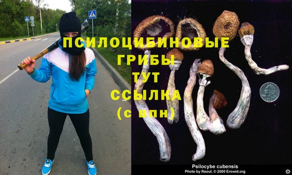 дживик Дмитров
