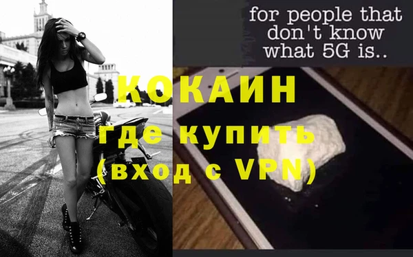 прущие грибы Дмитриев