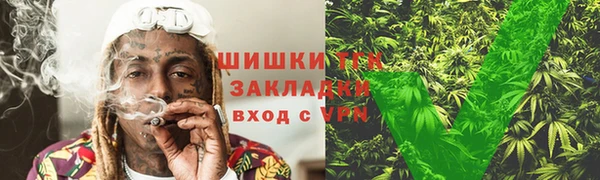 дживик Дмитров