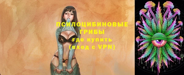 дурь Гусь-Хрустальный
