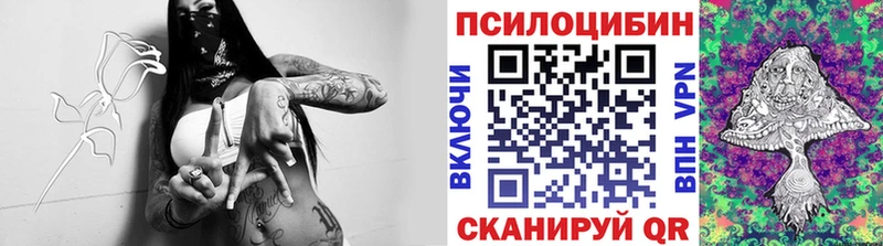 Купить где Цивильск Псилоцибиновые грибы Magic Shrooms